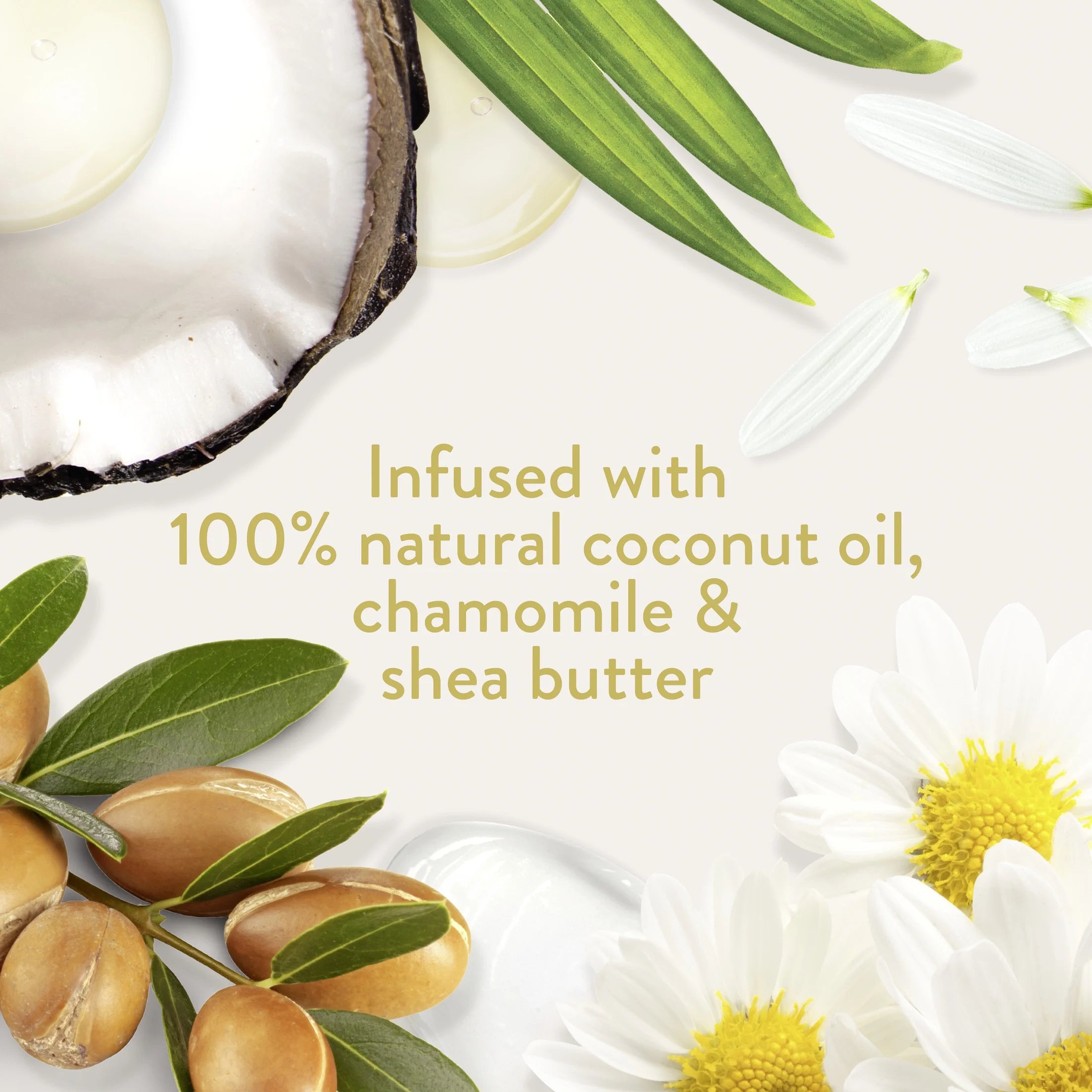 Baby Curl Shampoo with Pump, 100% Coconut Oil, Chamomile & Shea Butter, 100% Natural, 13.5 Oz